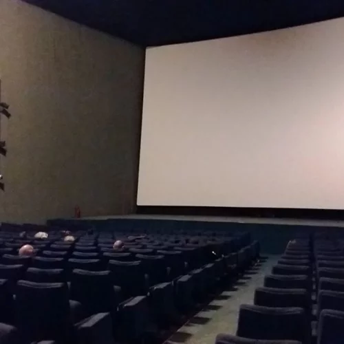 Και η Πανελλήνια Ένωση Κριτικών Κινηματογράφου επεμβαίνει για τη διάσωση των σινεμά