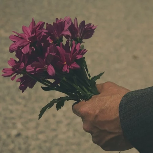 Μια βραδιά αφιερωμένη στην Horme Pictures