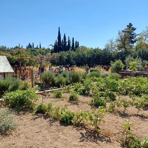 Οι φάρμες της Δυτικής Αττικής με το βλέμμα στραμμένο στη βιώσιμη καλλιέργεια