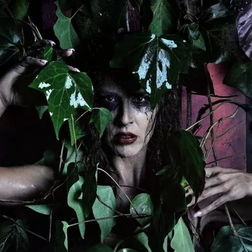 Η Κατσαρίδα Κ.