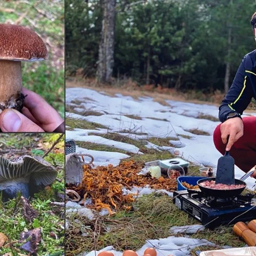 Μανιταρογνωσία με οδηγό τον Γκίκα Ξενάκη