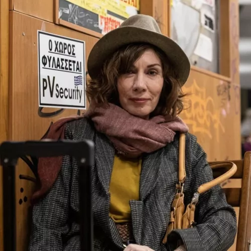 Η σκιά της μύγας