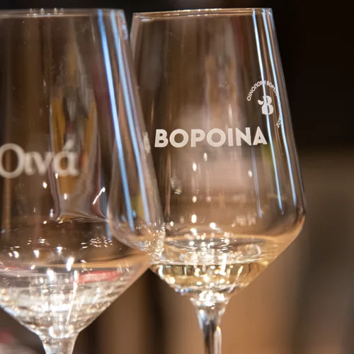 Τα ΒορΟινά ταξιδεύουν και πάλι στην Αθήνα