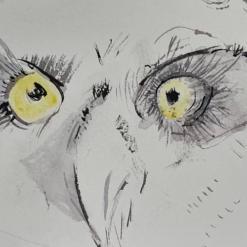 "Τελετουργίες για τον Νέο Κόσμο": Ένα αστικό φεστιβάλ ξεφυτρώνει στο Τέρας