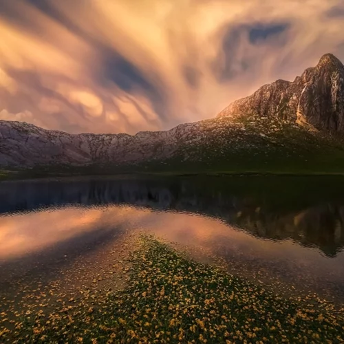 Κι εσύ πρέπει να μάθεις για τη βιοποικιλότητα -και αυτή η ημερίδα είναι η ευκαιρία σου