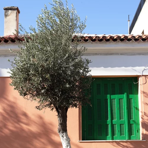 Το Πρώτο Φεστιβάλ Οικοπολιτισμού έρχεται στην Ελευσίνα, Πολιτιστική Πρωτεύουσα της Ευρώπης 2023