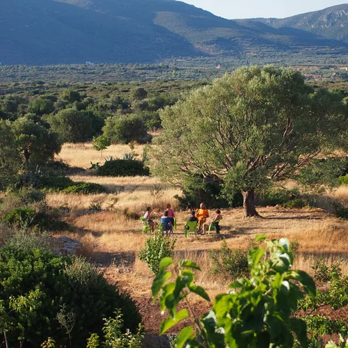 Κιβωτός Κορογώνα: Ένα πολύπλευρο εγχείρημα ολιστικής σύνδεσης με την φύση που δεν χωράει σε ταμπέλες