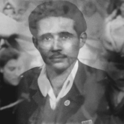 Ξεριζωμένοι