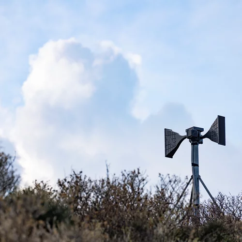 World Weather Network: Μια παγκόσμια ψηφιακή πλατφόρμα καλλιτεχνικής δημιουργίας για την κλιματική κρίση