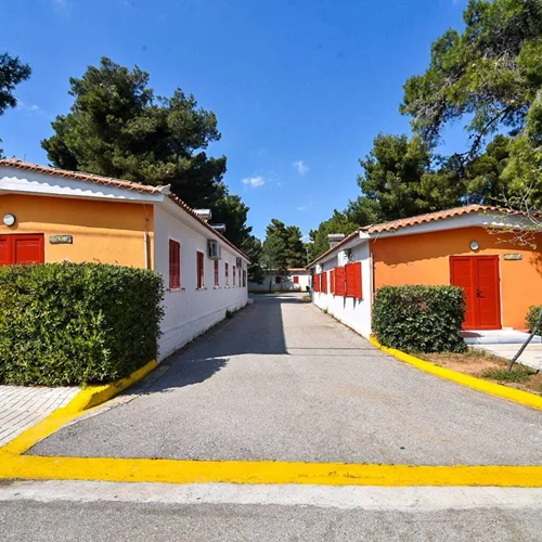 Παιδικές Εξοχές Δήμου Αθηναίων: Δηλώσεις συμμετοχής για παιδιά και ενήλικες