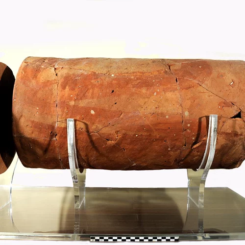 Δωρεάν ξεναγήσεις στο Πανεπιστημιακό Μουσείο Ζωγράφου