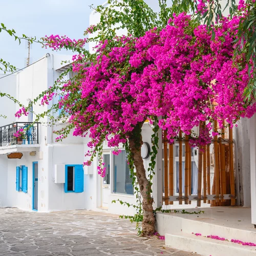 Στο ελληνικό νησί που πάνε όλοι για να παντρευτούν (spoiler, δεν είναι η Σαντορίνη)