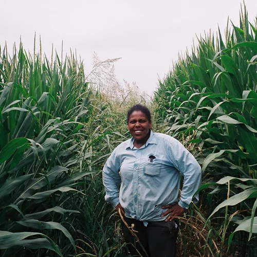 Μπήκαμε στο "Άβατο" των "Μαύρων του κάμπου" και των Latent Community