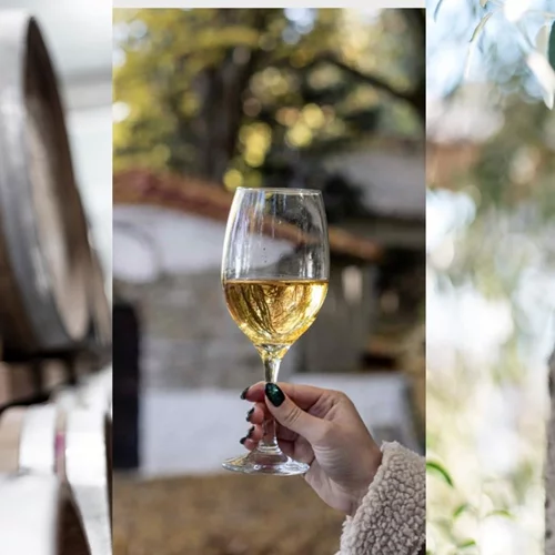 Δοκιμάζουμε δύο διαφορετικές "πτυχές" του Ξινόμαυρου από τον αμπελώνα των τεσσάρων Λιμνών