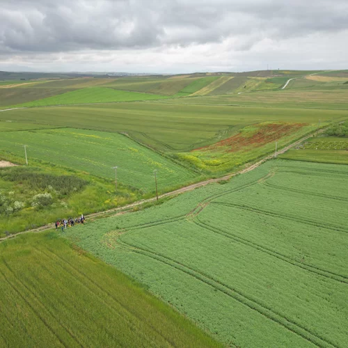 Διατροφικοί θησαυροί από το χωράφι στο τραπέζι