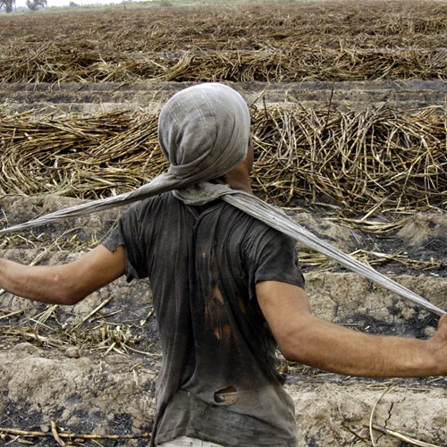 Όλα όσα θα δούμε στην 8η Μπιενάλε Θεσσαλονίκης
