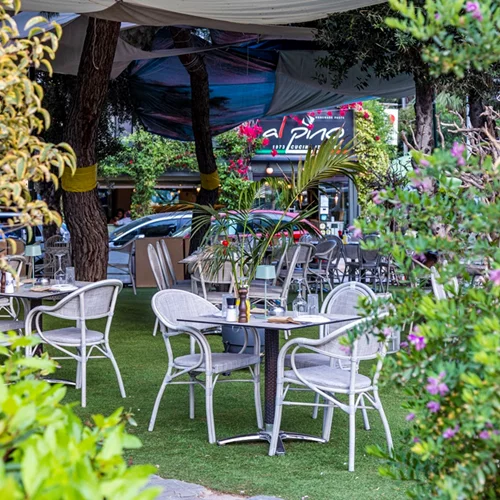 Το Alpino μιλάει ιταλικά στην πιο δροσερή αυλή