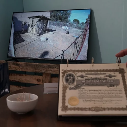 Στο The Goat Standard, ο τράγος γίνεται διαπραγματεύσιμο περιουσιακό στοιχείο