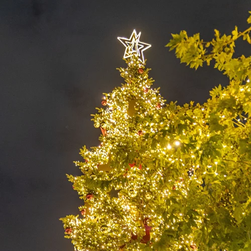 22 πράγματα να κάνετε τα Χριστούγεννα στην Αθήνα!