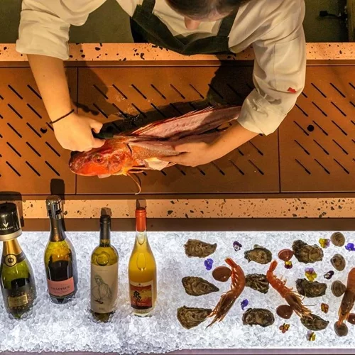 'Linovatis': Στην Κηφισιά, το κρασί αποκτά φωνή