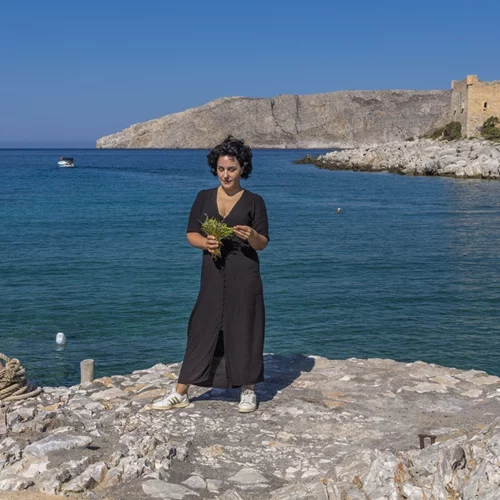 Η Σταυριανή Ζερβακάκου μας καλεί για τροφοσυλλογή στη Μέσα Μάνη