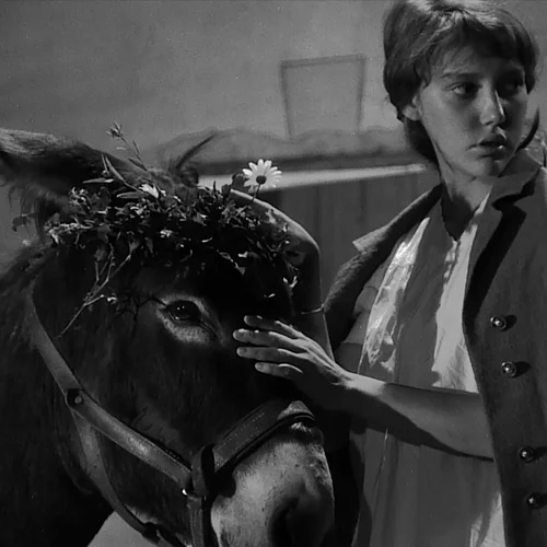 Απόψε (13/6) στην TV: το ταξίδι του μικρού Μπαλταζάρ