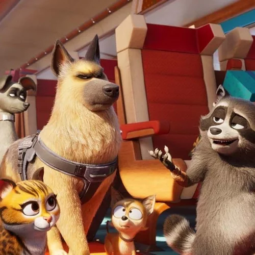 Κατοικίδια στο Express