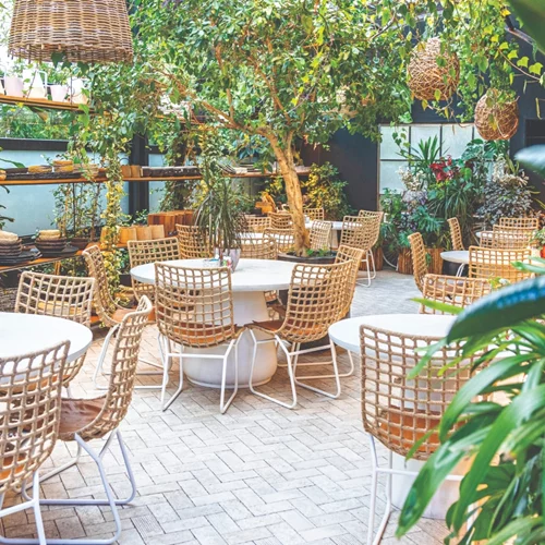 "Lefkes on the side": Στον… Τροπικό του Γαλατσίου