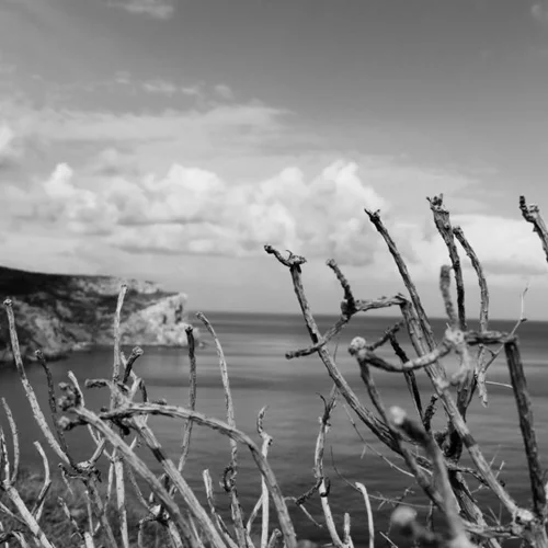 To Thees Art Festival στη Σίφνο "παντρεύει" την τέχνη με την παράδοση