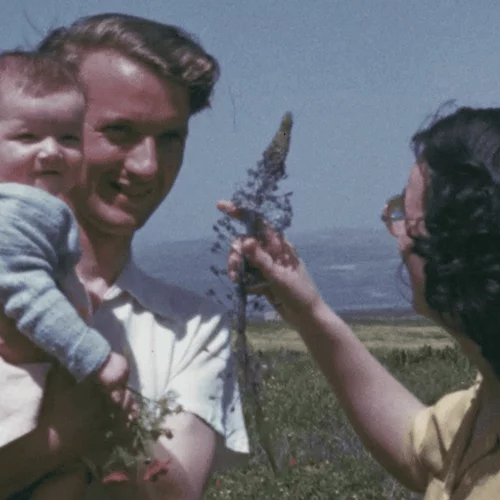 Athens Short Film Festival 2025: Τα highlights του φετινού προγράμματος