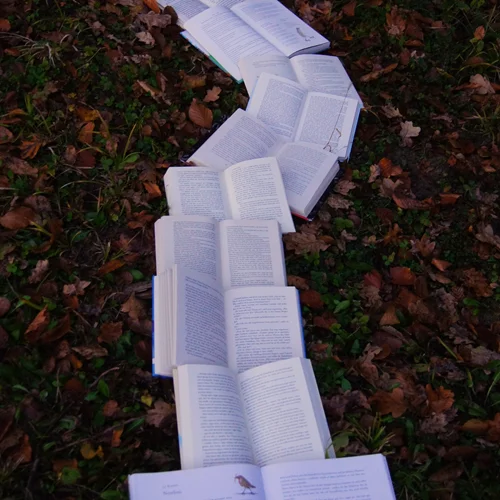 "Γιατί δεν μας διαβάζουν "έξω";": Μία συζήτηση με τον Δημοσθένη Κούρτοβικ για την ελληνική λογοτεχνία (μέρος α)