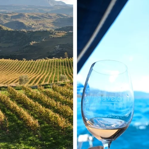 Το Φεστιβάλ "Οινοξένεια" γιορτάζει 10 χρόνια παρουσίας στην Αιγιάλεια και τα Καλάβρυτα