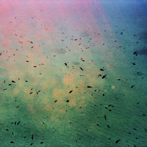 "Οι καστανοκόκκινοι βράχοι": Έκθεση φωτογραφίας του Clement Chapillon στο Γαλλικό Ινστιτούτο