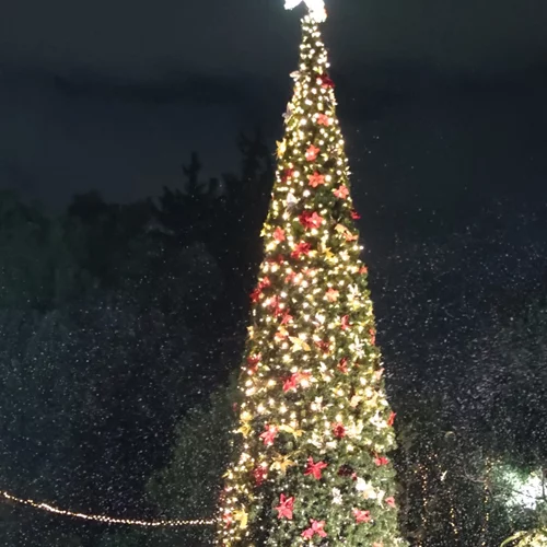 Περιφέρεια Αττικής: Φωταγωγήθηκε το Χριστουγεννιάτικο Δέντρο στο Πεδίον του Άρεως