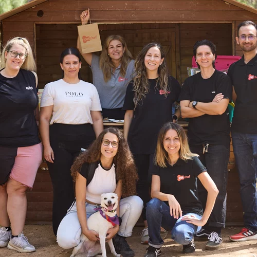 petchef in the park: Μια μοναδική εμπειρία για σκύλους και κηδεμόνες στο Άλσος Χολαργού για την Παγκόσμια Ημέρα Ζώων