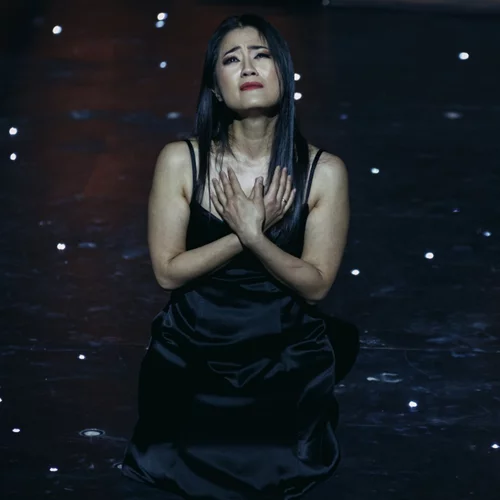 Η κατά Ολιβιέ Πι πολιτική "Μαντάμα Μπατερφλάι" στο Ηρώδειο