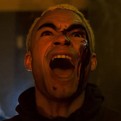 Στον Ιστό του Τρόμου