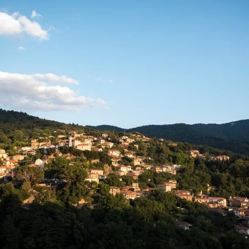 "Vamvakou Revival": Καλοκαίρι στη Βαμβακού Λακωνίας