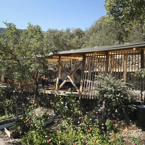 Hermitage Sykaminea: Ένα οικολογικό καταφύγιο για τις τέχνες φέρνει νέα συνεργατικά καλλιτεχνικά ήθη στη Λέσβο