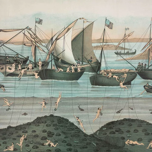 Η Camille Pradon συζητά με την Ελένη Ρήγα για το ζήτημα των μετασχηματισμών της υποβρύχιας βιοποικιλότητας