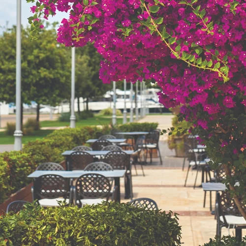 "Napolitivo": Βόλτα στην αθηναϊκή Ριβιέρα με άρωμα νότιας Ιταλίας