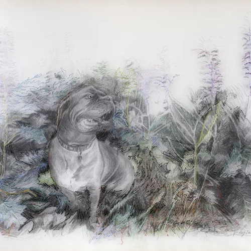 Οι "Διάφανοι κήποι" της Κωνσταντίνας Συλίκου στην Genesis Gallery