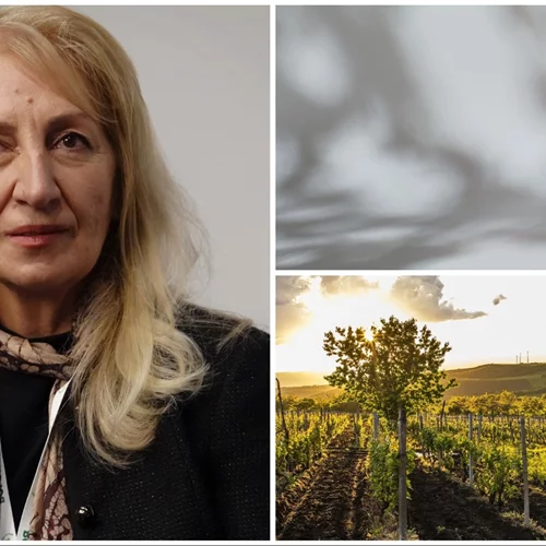 Λημνιό και Ντεμπίνα έχουν μέλλον για την πρόεδρο των "Οινοποιών Βορείου Ελλάδος" Ελένη Σίντου