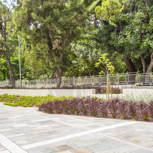 Ανοίγει ξανά η Βασιλίσσης Όλγας: Πιο πράσινη και φιλική στους πολίτες