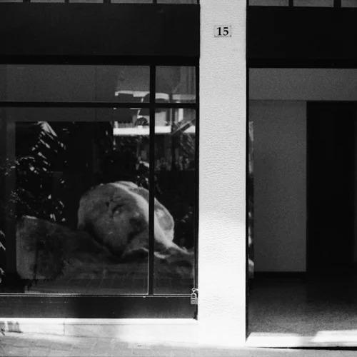 Τα φιλμ της Κατερίνας Κομιανού κι ένα τραγούδι των Metro Decay