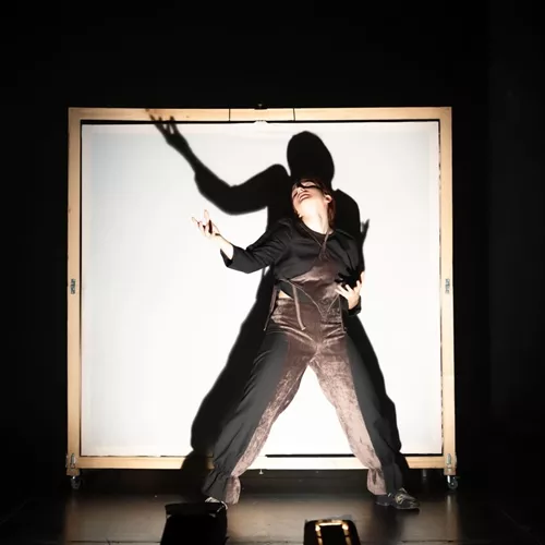 Αφηγήτρια ταινιών