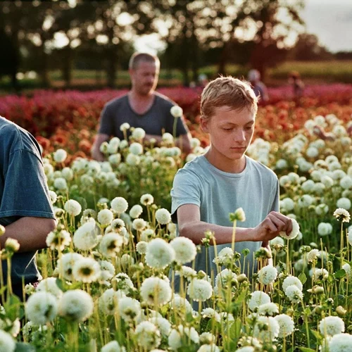 Σινεμά και ψυχανάλυση: Το "Close" στον Δαναό
