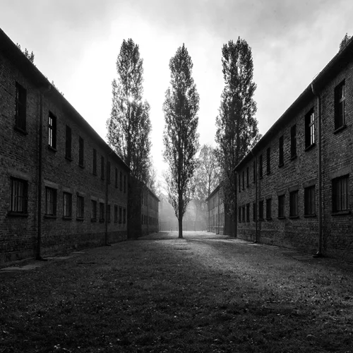 "Tehom": Η Renée Revah "αφηγείται" την απώλεια των μελών της οικογένειας της από τη Θεσσαλονίκη στο Άουσβιτς