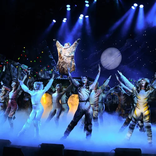 Πλησιάζει η πρεμιέρα του μιούζικαλ "Cats" στο Christmas Theater
