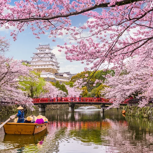 Ιαπωνία ή Νότια Κορέα; Τελικός προορισμός οι ανθισμένες κερασιές
